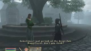 Oblivion NPC dialogue is the greatest dialogue [upl. by Pearlstein]