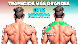 Trapecios Más Grandes en 10 Minutos Ejercicios Efectivos [upl. by Thar]