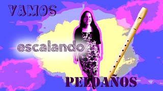 Vamos escalando peldaños para flauta dulce tutorial recorder [upl. by Oihsoy]