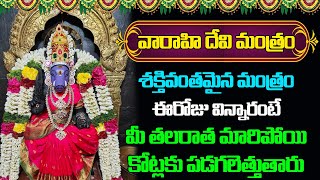 వారాహి దేవి మంత్రం  varahi varahidevi god devotional devotionalsongs bhakthi [upl. by Atenaz]