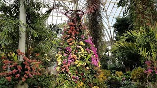 The Orchid Show 2019 Singapore [upl. by Dniren]