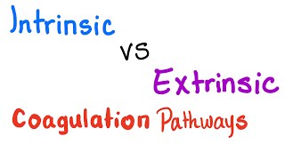 Intrinsic vs Extrinsic Coagulation pathways  Hemostasis  Bleeding and Coagulation [upl. by Llien576]