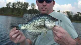 Indiana crappie [upl. by Anairam]