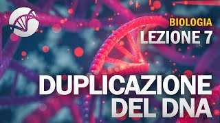 BIOLOGIA  Lezione 7  Duplicazione del DNA [upl. by Sammy245]