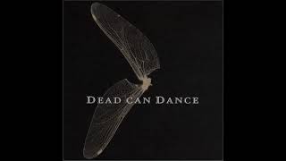 Dead Can Dance – The Ubiquitous Mr Lovegrove [upl. by Aitnecserc603]