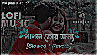 Pagol Tor Jonno  পাগল তোর জন্য  Slowed Reverb Bangla Song  Lofi Song [upl. by Licec363]