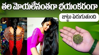 తల మోయలేనంత భయంకరంగా జుట్టుపెరుగుతుందిFastest Hair Growth Remedy In Telugu hairgrowthoil haircare [upl. by Refannej]