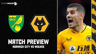 Norwich City vs Wolves  Match Preview [upl. by Justen]