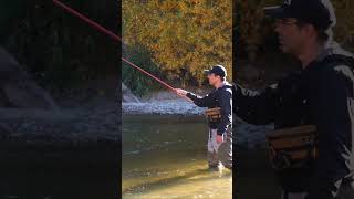 tenkara casting techniques to reduce fatigue and improve accuracy shorts [upl. by Drona839]