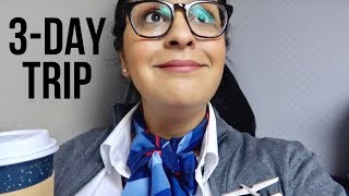 Flight Attendant Life  Worst Part of the Job  VLOG 4 2019 [upl. by Ecirrehs]