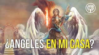 11 señales de que los angeles estan contigo te estan contactando [upl. by Ynaiffit969]