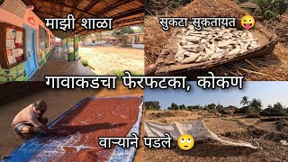 गावचा फेरफटका  शाळा चिकू काढायचा जुगाड । शेतातली कामे  Kokan village life vlog  Sangameshwar [upl. by Earesed]