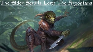 The Argonian Invasion of Morrowind The Accession War  The Elder Scrolls Lore Remastered [upl. by Irrol]