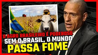 POR QUE O AGRONEGÓCIO BRASILEIRO É TÃO PODEROSO  PROFESSOR HOC [upl. by Ecnadnac]