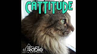 Cattitude  Episode 87 Mark Your Cat Calendar to Celebrate These Festive Feline Holidays [upl. by Anoval]