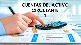 CUENTAS DEL ACTIVO CIRCULANTE 1  EFECTIVO Y EQUIVALENTES DE EFECTIVO [upl. by Dlopoel]