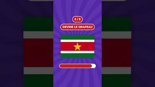 Devine 8 drapeaux en 3 secondes [upl. by Ttennaej]