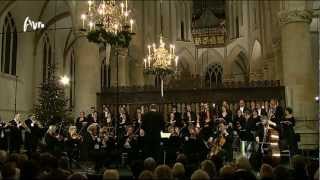 Bach Weihnachtsoratorium BWV 248  Cantate no6  Combattimento Consort Amsterdam  Live [upl. by Preciosa]