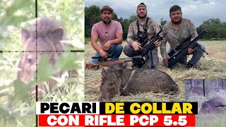 CACERIA DE JABALI CON RIFLE KRAL 55 pcp pcp cazamayor caceria cazadores bienpegado 55 [upl. by Bess]