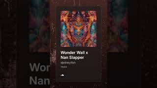 Wonder Wall x Nan Slapper [upl. by Ahseinek]