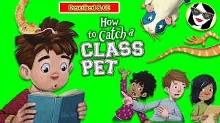 How to Catch a Class Pet Described and CC Format Read Aloud [upl. by Mcleod]