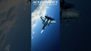 Sukhoi 33 Flanker☠🇷🇺shorts AceCombat TopGun pilot fyp dcs reel gamers aviation russia [upl. by Konopka]