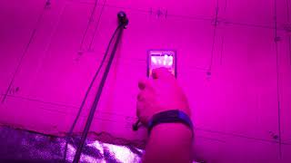 Niello 600w M led grow light review [upl. by Teodoro966]