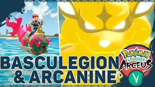 COMO CONSEGUIR BASCULEGION E O LINDO FRENZIED NOBLE HISUIAN ARCANINE  Pokémon Legends Arceus PTBR [upl. by Adnilram348]