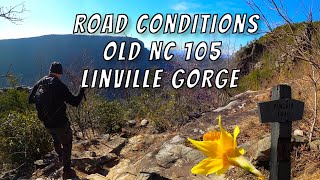 MTBPlanB Old NC 105 road conditions to Pinchin Trailhead Linville Gorge [upl. by Rimahs843]