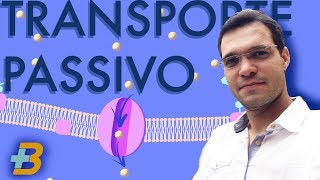 Transporte passivo mais biologia com Roger Maia [upl. by Nnairac]