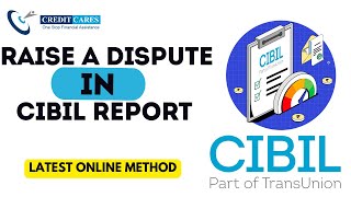 How to Raise a Dispute in CIBIL Online Process in  Hindi Cibil Report Correction [upl. by Naedan]