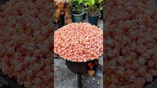 Use popcorn kernels to make watermelonflavored popcorn [upl. by Imak534]