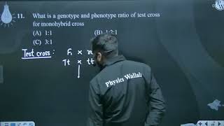 What is a genotype and phenotype ratio of test cross for monohybrid cross [upl. by Kwarteng410]