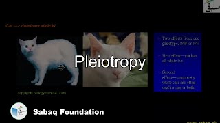 Pleiotropy Biology Lecture  Sabaqpk [upl. by Cedric]