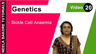 Genetics  Principles of Inheritance amp Variations  NEET  Sickle Cell Anaemia  Neela Bakore [upl. by Corene65]