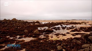 I Campi Flegrei un gigante addormentato  Petrolio 28072017 [upl. by Chuck]