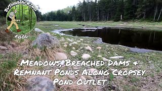 Meadows Breached Dams amp Remnant Ponds Along Cropsey Pond Outlet  Birdathon  Pepperbox Wilderness [upl. by Doerrer]