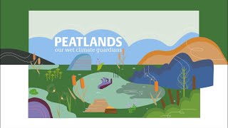 How peatlands can help combat climate change  Angela GallegoSala  TEDxLondon [upl. by Ydnolem41]