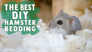 The Easiest amp Cheapest DIY Hamster Bedding [upl. by Dibbrun]