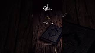 Sura AlBaqarah beautiful verse  Urdu tarjuma  quran translation quran quranrecitation shorts [upl. by Yrrap810]