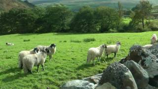 ENGLAND James Herriot country revisited hdvideo [upl. by Dam212]