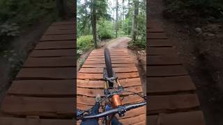 “Big Tree” Duthie Hill MTB Park [upl. by Anatollo]