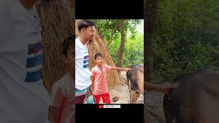 নোয়াখাইল্লা শরিকদার 😄 পার্ট১৩ rmtvhd noakhali funnyvideo shorts [upl. by Jehiel]