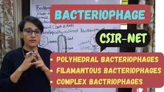 Bacteriophages  Polyhedral Filamentous and Complex Bacteriophages  CSIRNET [upl. by Darrelle]