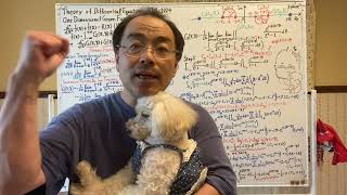 Theory of Differential Equations on 3 July 2024 Prof Kazuyuki Tanaka Tohoku University [upl. by Donn232]