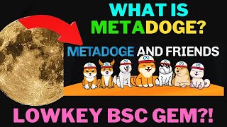 What is MetaDoge NFT Staking NFT Marketplace  3D Metaverse [upl. by Aiyekal]