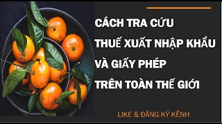 Hướng Dẫn Cách Tra Cứu Thuế Và Giấy Phép Của Hàng Hoá Xuất Nhập Khẩu Tất Cả Các Quốc Gia Mới Nhất [upl. by Liatrice]