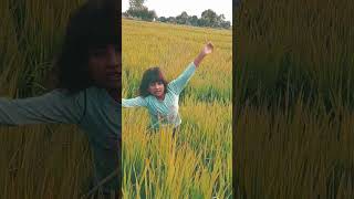 मे तो भवरा हु सोडी🥰🥰trending funny comedy [upl. by Rachel]