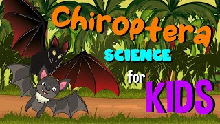 Chiroptera or Bats  Science for Kids [upl. by Nnek]