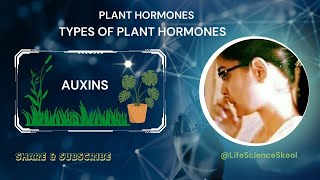 Plant Hormones  Auxins  Phytohormones  Types of plant hormones  Functions of auxin [upl. by Aer]